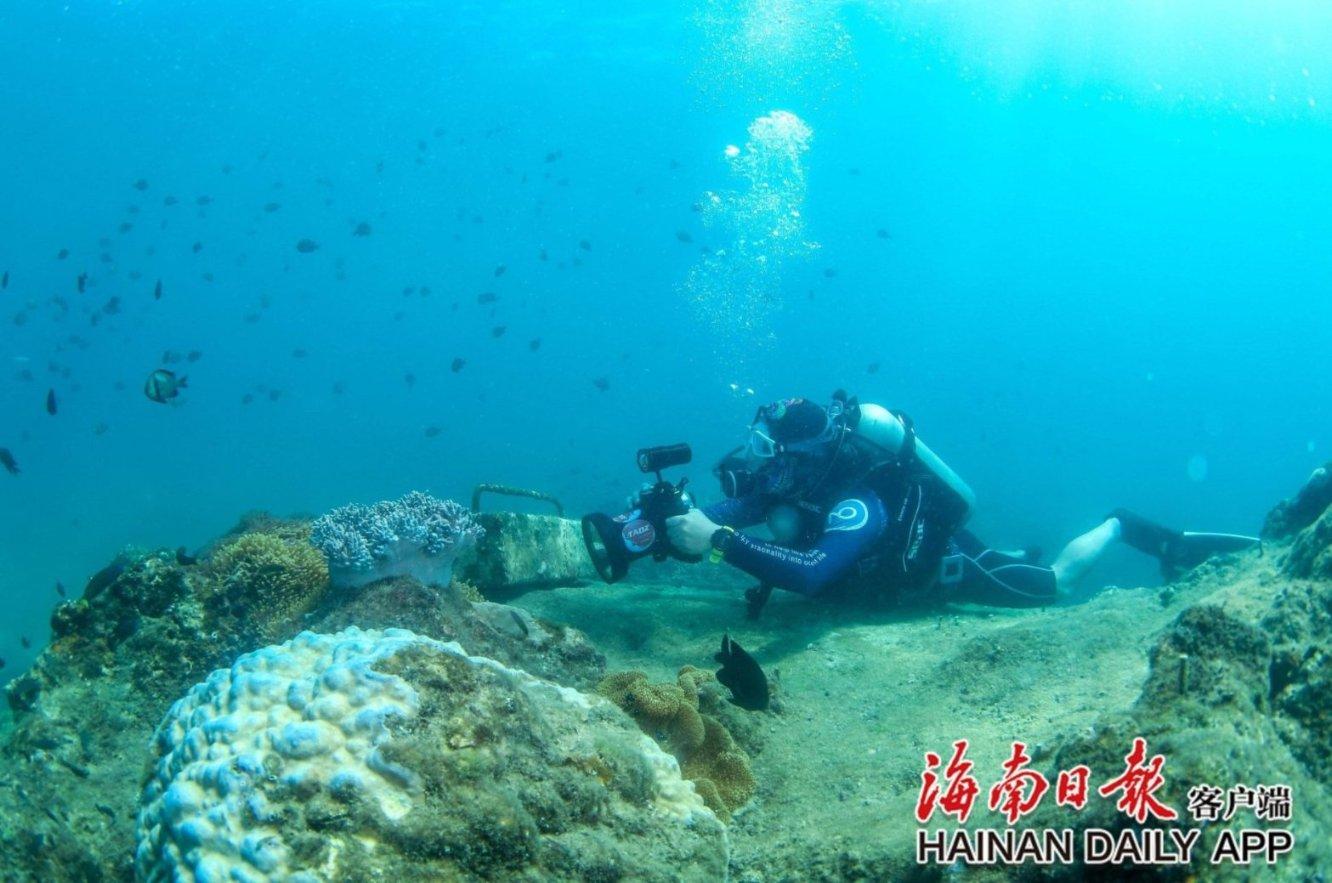 意想不到的旅程